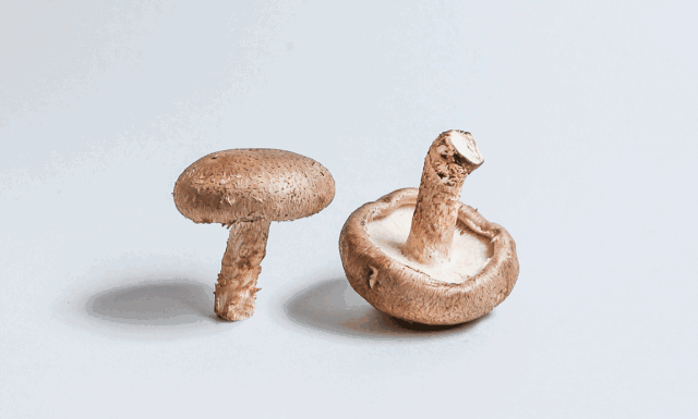 1574845382139336.gif