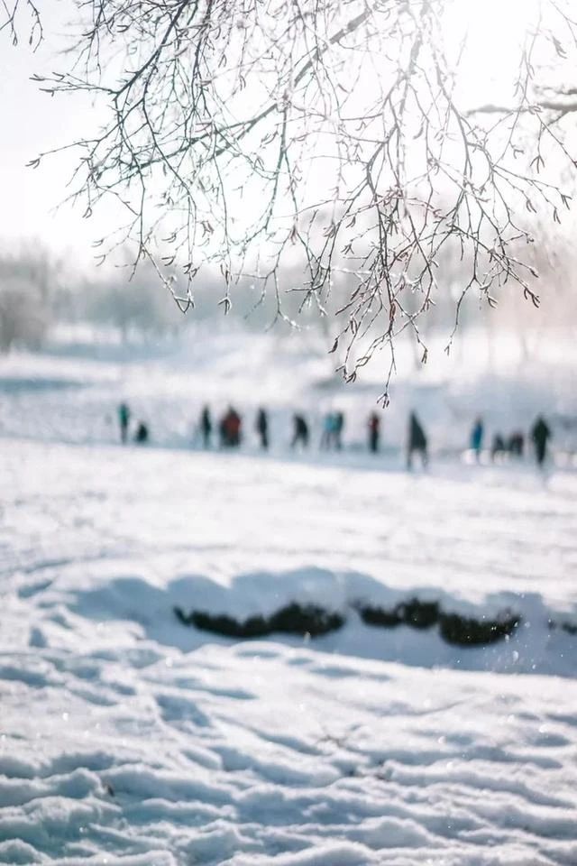 1-_20201116110700.jpg
