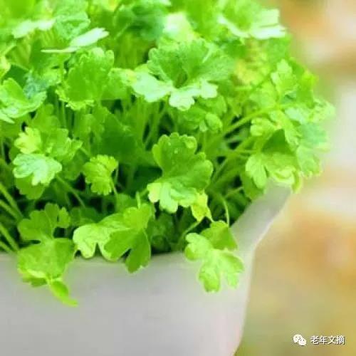 微信图片_20210111103115.jpg